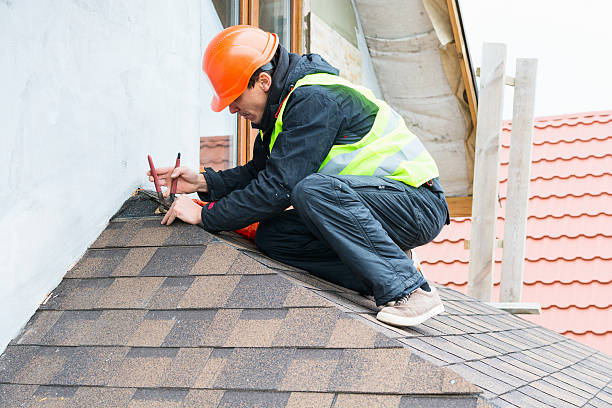 Roof Gutter Cleaning